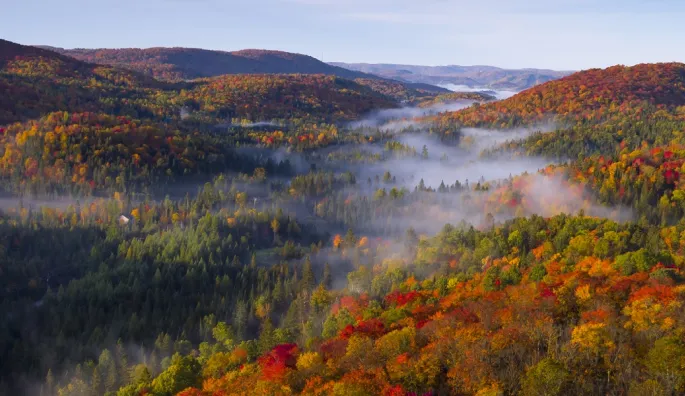 Abitibi-Témiscamingue